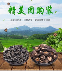 山野馈赠的双重奏 战友蘑菇与冬木耳的餐桌智慧